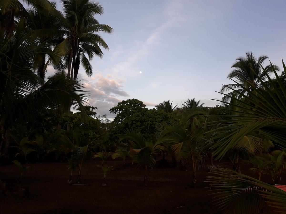 Hostal Pachamama Isla de Canas Exterior photo