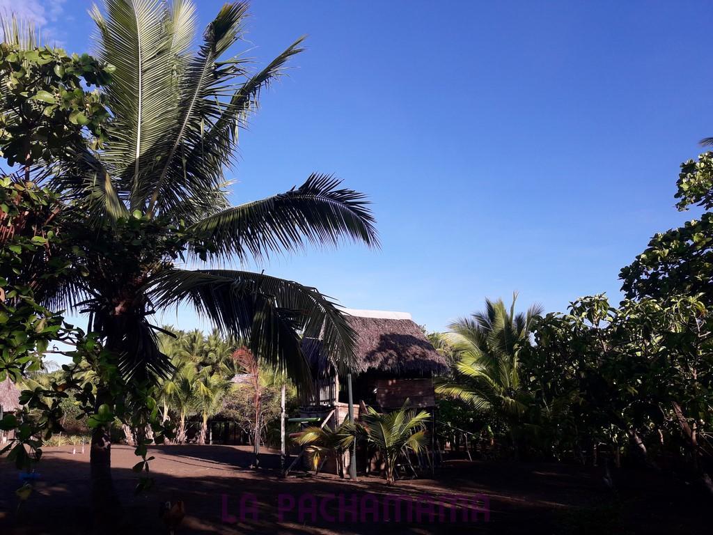 Hostal Pachamama Isla de Canas Exterior photo