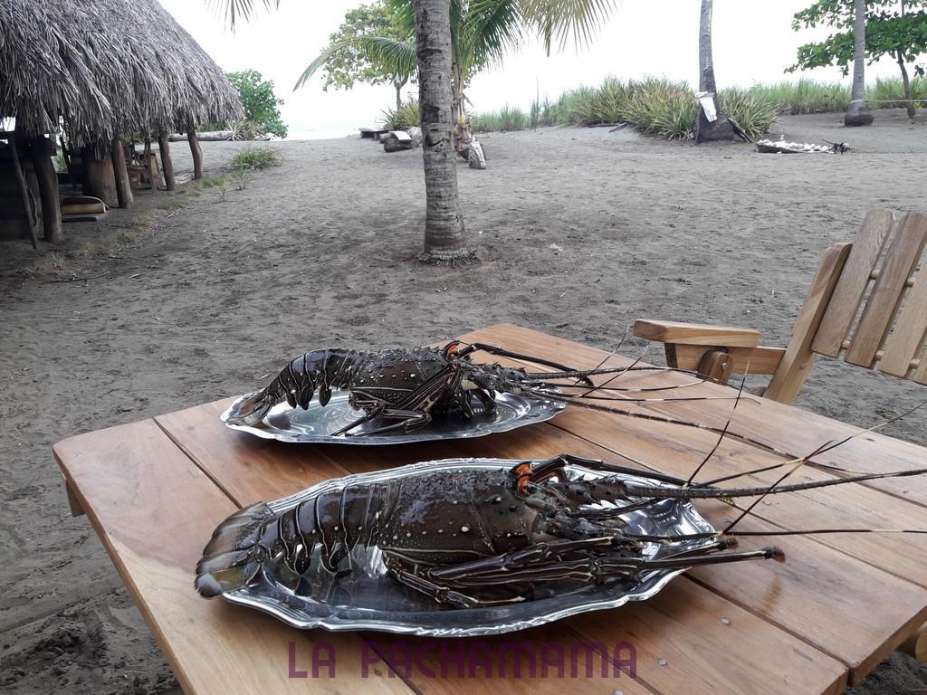 Hostal Pachamama Isla de Canas Exterior photo