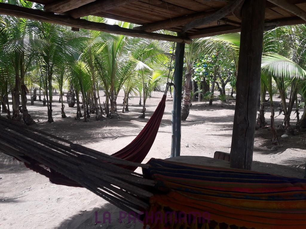 Hostal Pachamama Isla de Canas Exterior photo