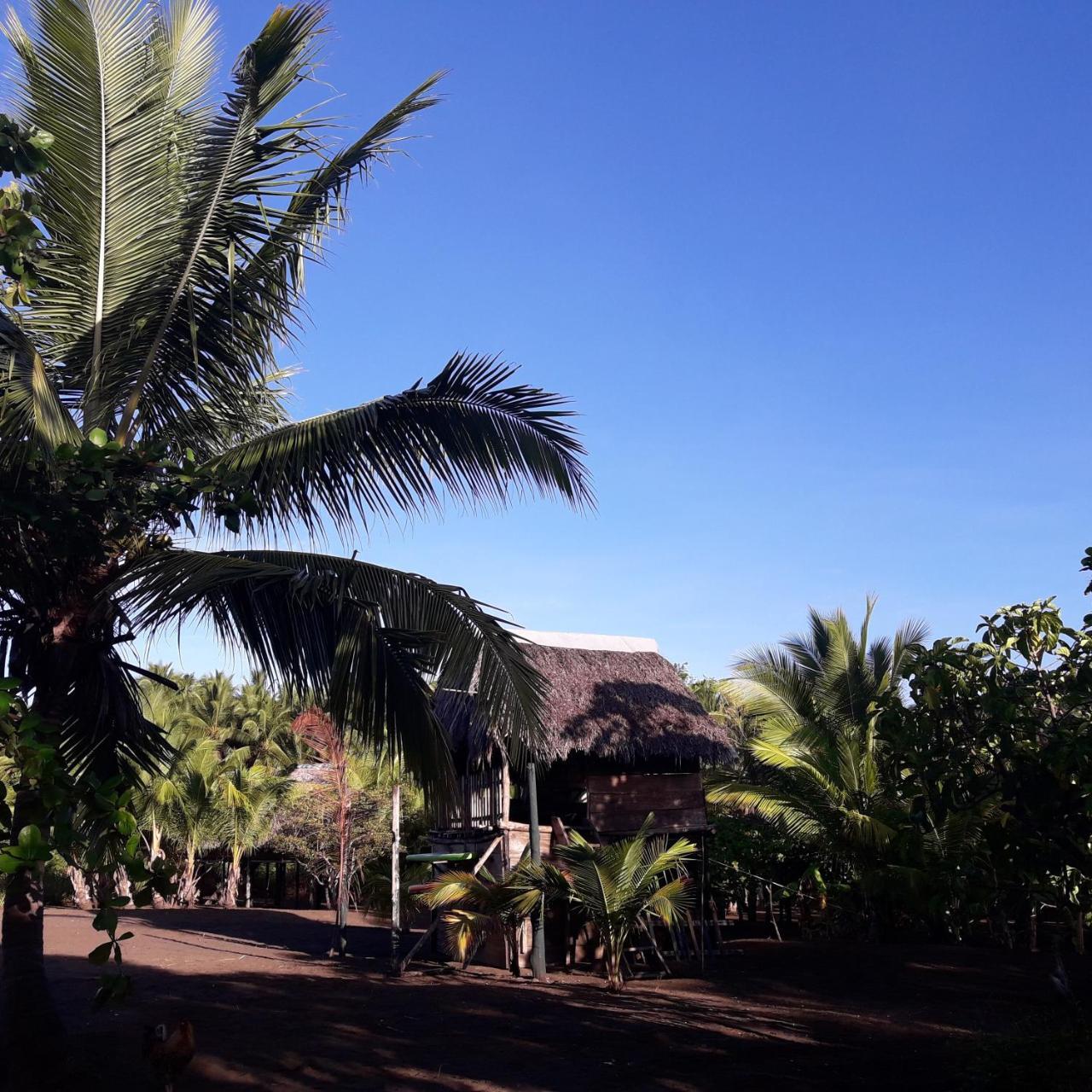 Hostal Pachamama Isla de Canas Exterior photo